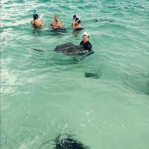 Meet your Posher, Bobby